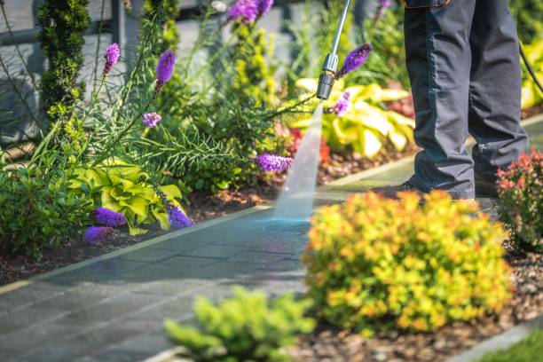 Best Gutter Cleaning  in Willowick, OH