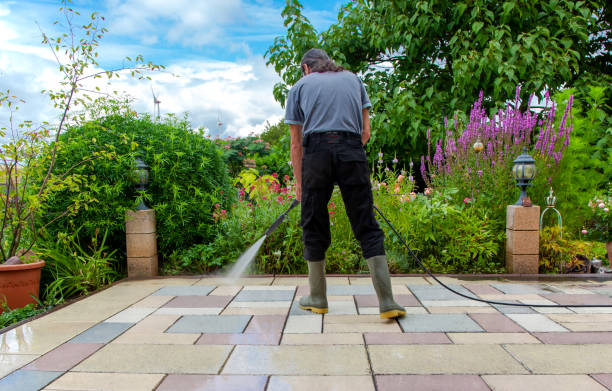 Best Winterizing Services  in Willowick, OH